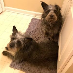 Meet your Posher, Carrie